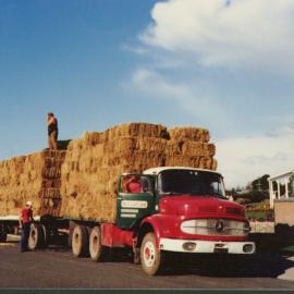 Tilby Farm, Tauranga 1981