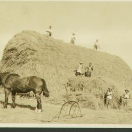 Haymaking 1930s