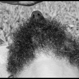 Puzzle Pix: someone's head