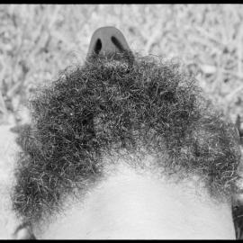 Puzzle Pix: someone's head