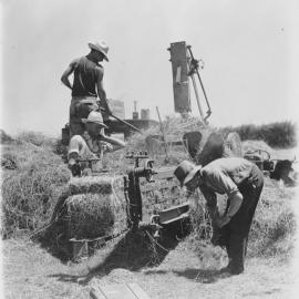 Baling Hay 1940s