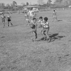 Maketū field day: Studies in concentration: the fend