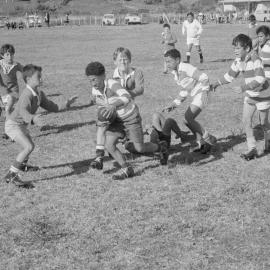 Maketū field day: Studies in concentration: the drive