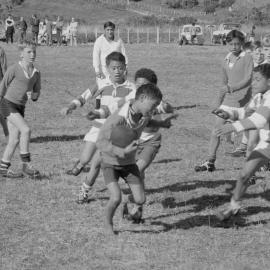 Maketū field day: Rangiuru: fend