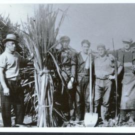 Flaxies at Pukehina mill c 1927