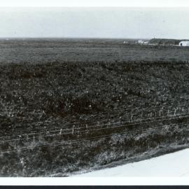 Flax swamp at Pukehina mill c 1927