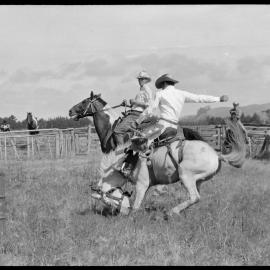 Stampede!: Ben Thompson