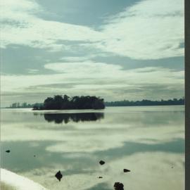 Motuopuhi Island 1984