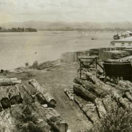 Smith and Harveys timber mill (later Odlins) on Dive Crescent, Tauranga, c. 1950
