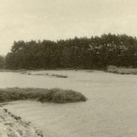 Floating "island" passing site of Te Tumu Pā, c. 1956