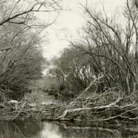 Reparepahoe Canal looking upstream, 30 Jul 1956