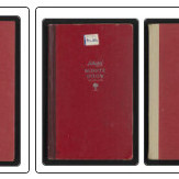 Māori Women’s Welfare League branch minutes