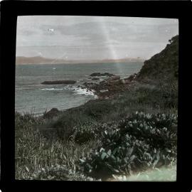 Coastal view with grassy slopes and rocks