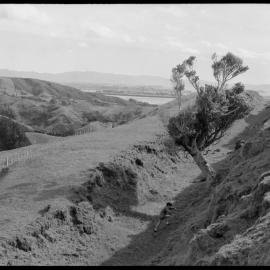 Following in Māori footsteps : earthworks