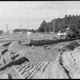 Made in Tauranga : Damor Coatings