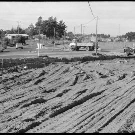 Made in Tauranga : Damor Coatings