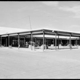 Made in Tauranga : Damor Coatings