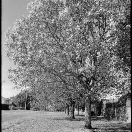 Puzzle Pix : intersection