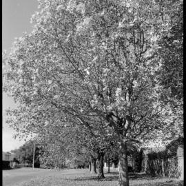 Puzzle Pix : intersection