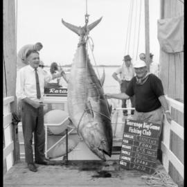 Tauranga Big Game Fishing Club