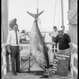 Tauranga Big Game Fishing Club
