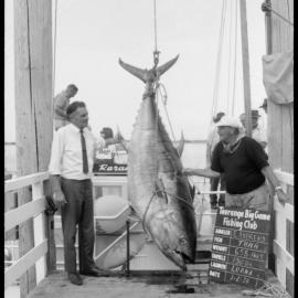 Tauranga Big Game Fishing Club