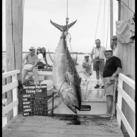 Tauranga Big Game Fishing Club