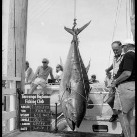 Tauranga Big Game Fishing Club