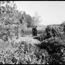 Visit by garden lovers 