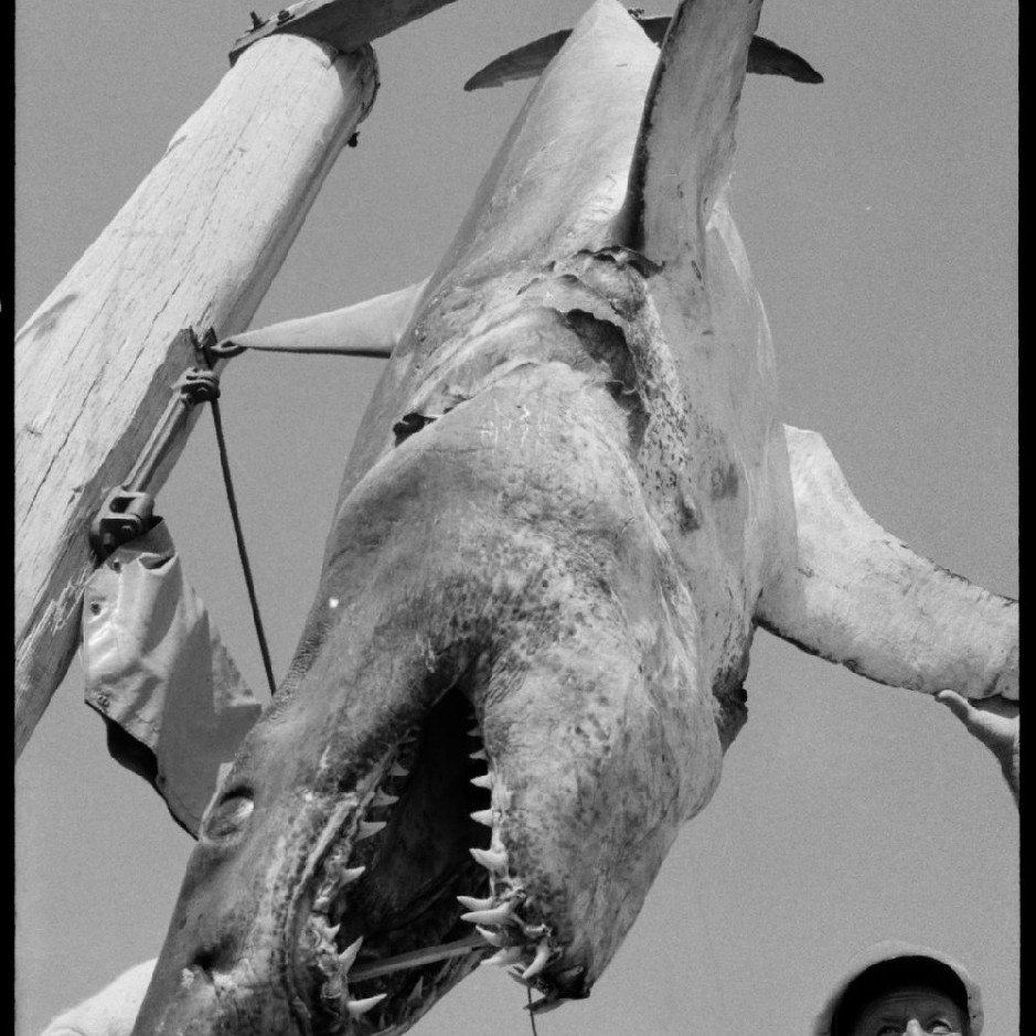 Number 93 - Logan Publishing Tauranga and Bay of Plenty Photo News Collection