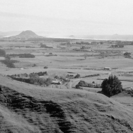 Number 96 - Logan Publishing Tauranga and Bay of Plenty Photo News Collection