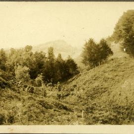 Pyes Pā Road 1929-30