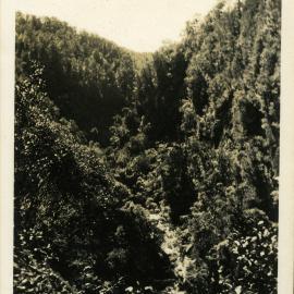 Omanawa Falls 1929-30