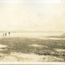 Low tide, Tauranga harbour WWII