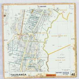 Tile 41: Survey Office map 55594