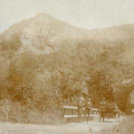 Car at Whakamārama