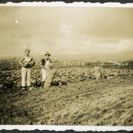 Bagging cabbages, Hume farm, Katikati WWII
