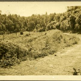 Tauranga-Rotorua road 1929-30