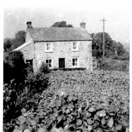 House Peter Curnow grew up in