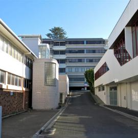 Durham Mews. Durham Street between 143 and 145