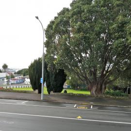 Former Aspen Reserve at the corner of McLean Street and Willow Street Tauranga