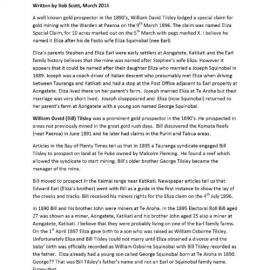 The Eliza gold mine, Kaimai Range, Katikati. 