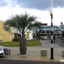 South side of Masonic Park from The Strand