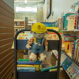 Pāpāmoa Library, teen time