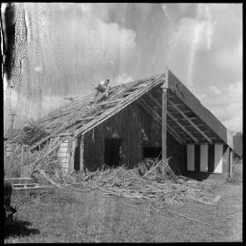 Hangarau wharenui at Peterehema marae 