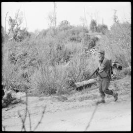 Army exercise at Hauraki Regiment