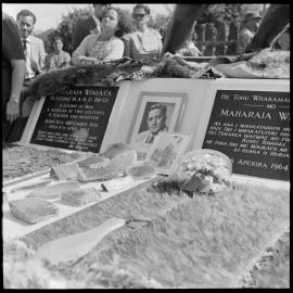 Dr Maharaia Winiata memorial unveiling - view of the plaques. 