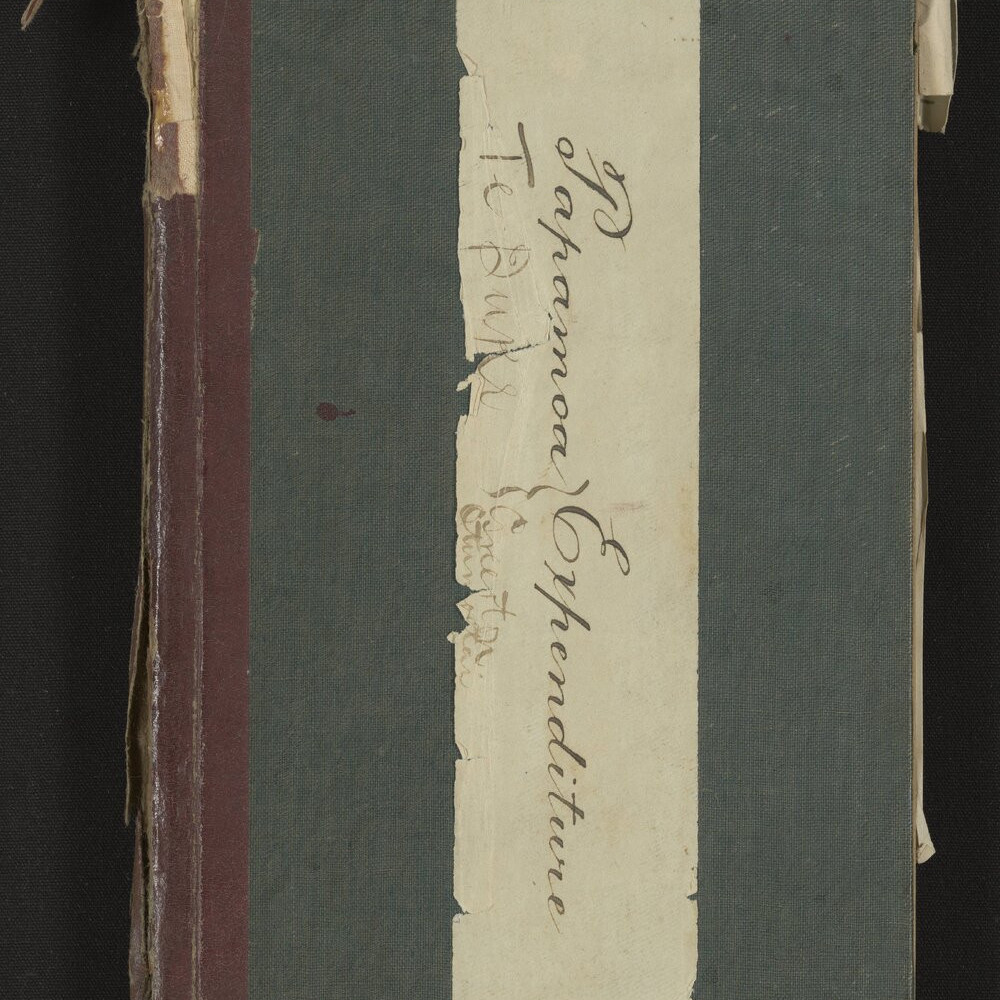 Records of Pāpāmoa, Te Puke, Greerton and Ōtūmoetai expenditure, 1919-1920