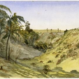 Peach tree gully, Mrs Hingston's, Te Puke