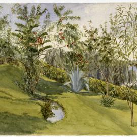 The garden, Bon Repos, Tauranga